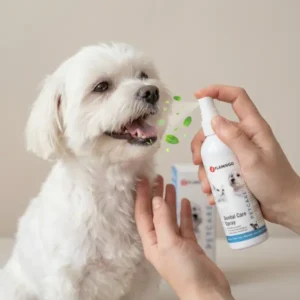 Spray dentaire pour chien – Protège contre la plaque, les caries et la mauvaise haleine