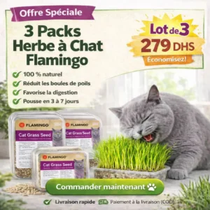 L’herbe naturelle que votre chat instinctivement adore 🌱