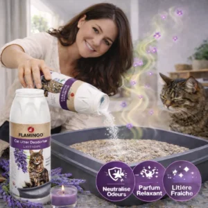 Marre des mauvaises odeurs de la litière de votre chat à la maison ?