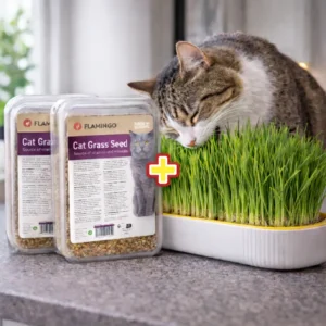 Votre chat d’intérieur avale des poils chaque jour ?🐱